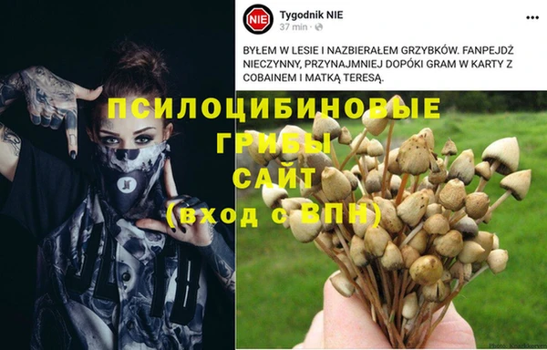мяу мяу мука Алексеевка