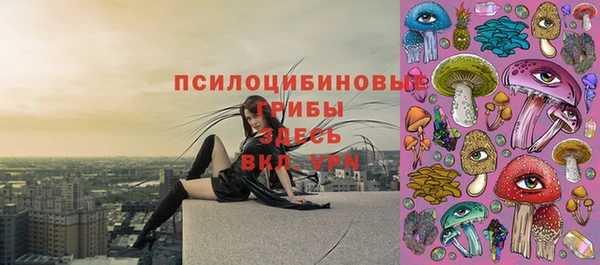 дживик Абинск
